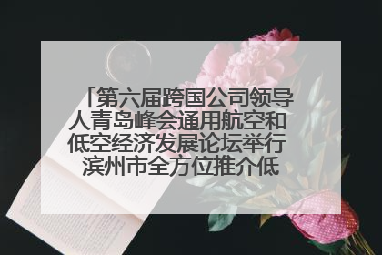 第六届跨国公司领导人青岛峰会通用航空和低空经济发展论坛举行 滨州市全方位推介低空经济发展优势