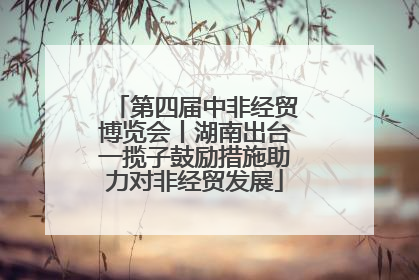 第四届中非经贸博览会丨湖南出台一揽子鼓励措施助力对非经贸发展
