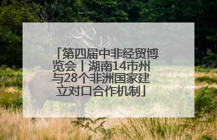 第四届中非经贸博览会丨湖南14市州与28个非洲国家建立对口合作机制