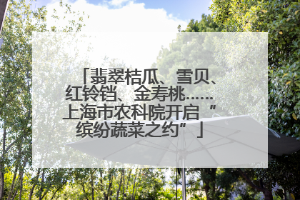 翡翠桔瓜、雪贝、红铃铛、金寿桃……上海市农科院开启“缤纷蔬菜之约”