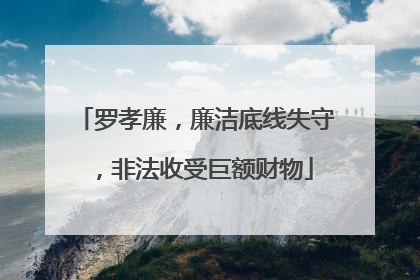 罗孝廉，廉洁底线失守，非法收受巨额财物