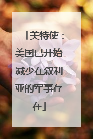 美特使：美国已开始减少在叙利亚的军事存在