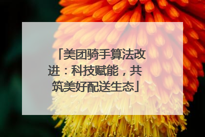 美团骑手算法改进：科技赋能，共筑美好配送生态