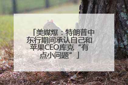 美媒爆：特朗普中东行期间承认自己和苹果CEO库克“有点小问题”