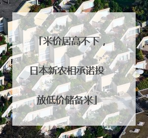 米价居高不下，日本新农相承诺投放低价储备米