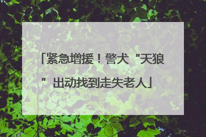 紧急增援！警犬“天狼”出动找到走失老人