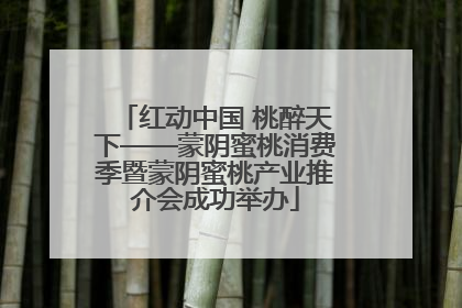红动中国 桃醉天下——蒙阴蜜桃消费季暨蒙阴蜜桃产业推介会成功举办