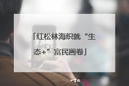 红松林海织就“生态+”富民画卷