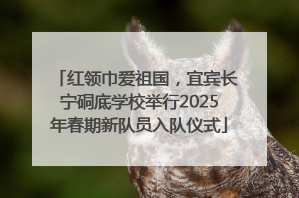 红领巾爱祖国，宜宾长宁硐底学校举行2025年春期新队员入队仪式