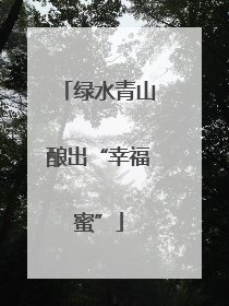 绿水青山酿出“幸福蜜”