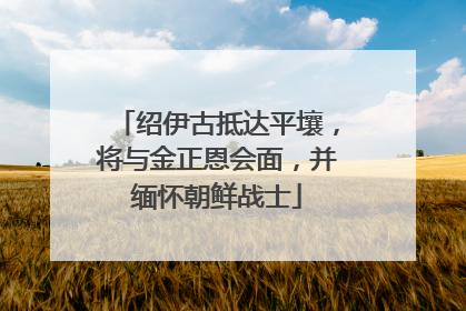 绍伊古抵达平壤，将与金正恩会面，并缅怀朝鲜战士