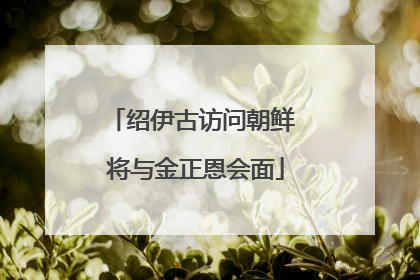 绍伊古访问朝鲜 将与金正恩会面