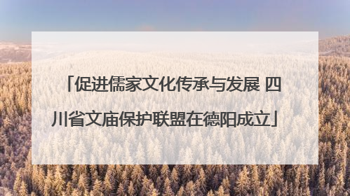 促进儒家文化传承与发展 四川省文庙保护联盟在德阳成立