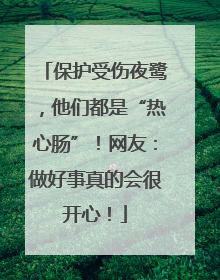 保护受伤夜鹭，他们都是“热心肠”！网友：做好事真的会很开心！