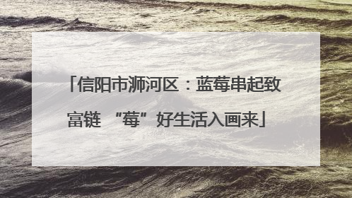 信阳市浉河区：蓝莓串起致富链 “莓”好生活入画来