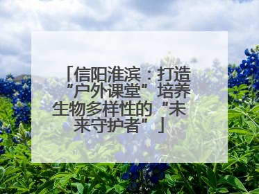 信阳淮滨：打造“户外课堂”培养生物多样性的“未来守护者”