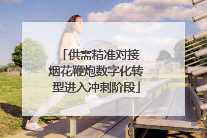 供需精准对接 烟花鞭炮数字化转型进入冲刺阶段