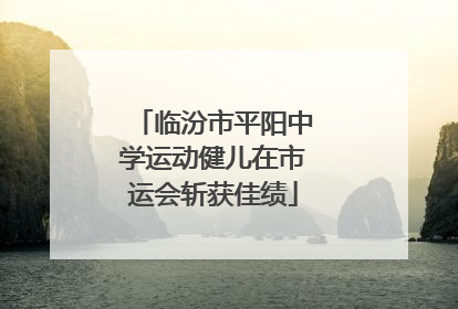 临汾市平阳中学运动健儿在市运会斩获佳绩
