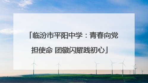 临汾市平阳中学：青春向党担使命 团徽闪耀践初心