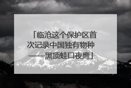 临沧这个保护区首次记录中国独有物种——黑顶蛙口夜鹰