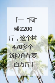 一“囤”盛2200斤，这个村470多个新粮仓存麦百万斤