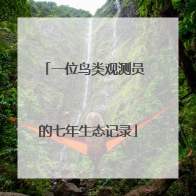一位鸟类观测员的七年生态记录