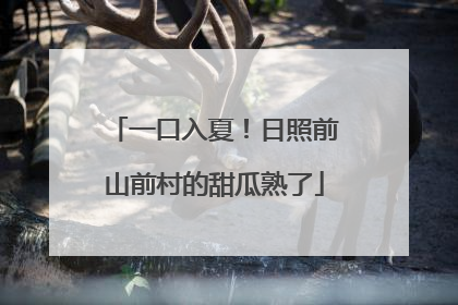 一口入夏！日照前山前村的甜瓜熟了