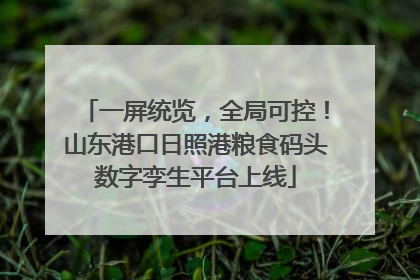 一屏统览，全局可控！山东港口日照港粮食码头数字孪生平台上线