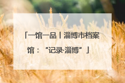 一馆一品丨淄博市档案馆：“记录·淄博”