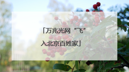 万兆光网“飞”入北京百姓家