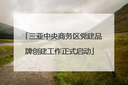 三亚中央商务区党建品牌创建工作正式启动