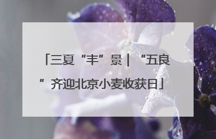 三夏“丰”景｜“五良”齐迎北京小麦收获日