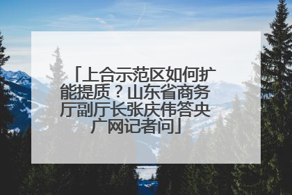 上合示范区如何扩能提质？山东省商务厅副厅长张庆伟答央广网记者问
