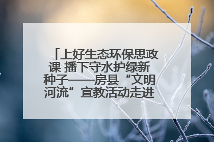 上好生态环保思政课 播下守水护绿新种子——房县“文明河流”宣教活动走进八一希望小学