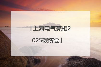 上海电气亮相2025碳博会