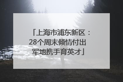 上海市浦东新区：28个周末倾情付出 军地携手育英才