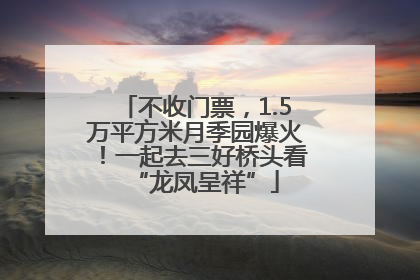 不收门票，1.5万平方米月季园爆火！一起去三好桥头看“龙凤呈祥”