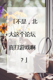 不是，北大这个论坛真打游戏啊？