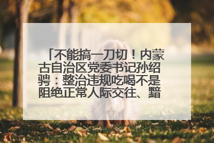 不能搞一刀切！内蒙古自治区党委书记孙绍骋：整治违规吃喝不是阻绝正常人际交往、黯淡人间烟火