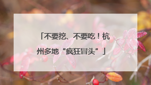 不要挖、不要吃！杭州多地“疯狂冒头”