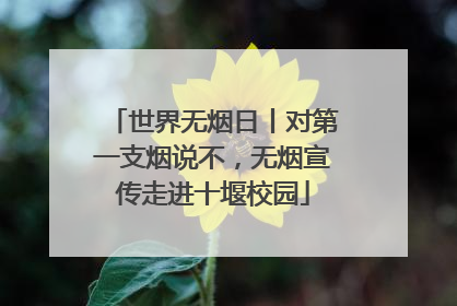 世界无烟日丨对第一支烟说不，无烟宣传走进十堰校园