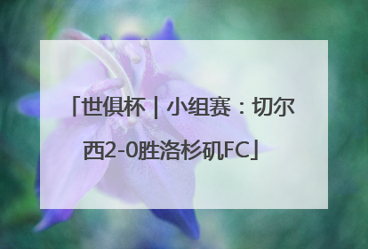 世俱杯｜小组赛：切尔西2-0胜洛杉矶FC