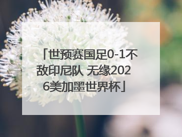 世预赛国足0-1不敌印尼队 无缘2026美加墨世界杯