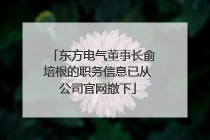 东方电气董事长俞培根的职务信息已从公司官网撤下