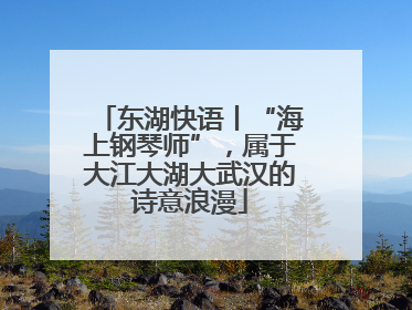 东湖快语丨“海上钢琴师”，属于大江大湖大武汉的诗意浪漫
