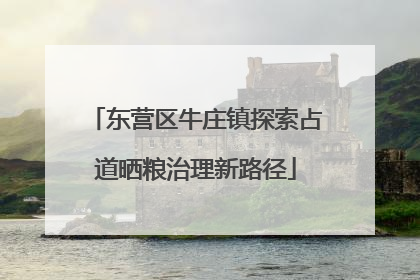 东营区牛庄镇探索占道晒粮治理新路径