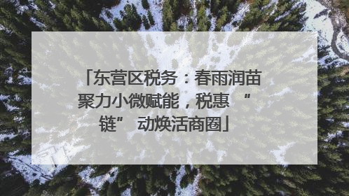 东营区税务：春雨润苗聚力小微赋能，税惠 “链” 动焕活商圈