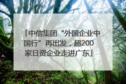 中信集团“外国企业中国行”再出发，超200家日资企业走进广东