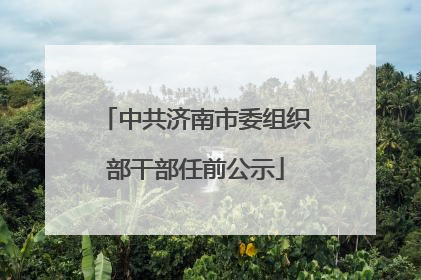中共济南市委组织部干部任前公示