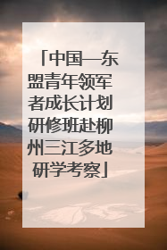 中国—东盟青年领军者成长计划研修班赴柳州三江多地研学考察